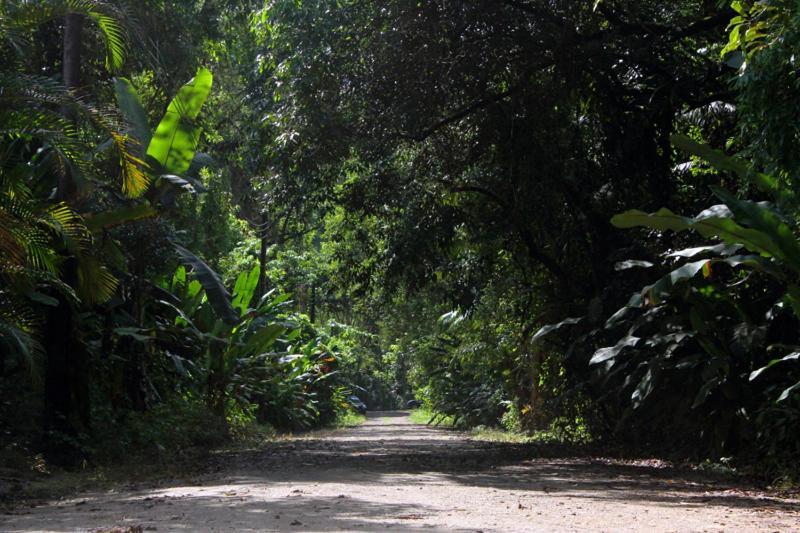 Mambuca Village Ubatuba Eksteriør bilde